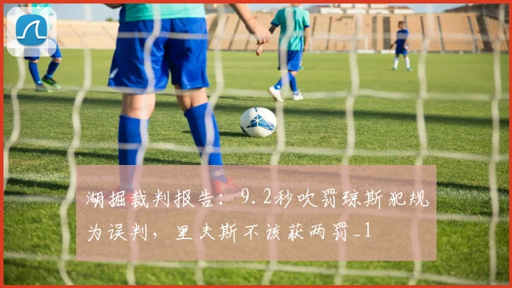 湖掘裁判报告：9.2秒吹罚琼斯犯规为误判，里夫斯不该获两罚_1